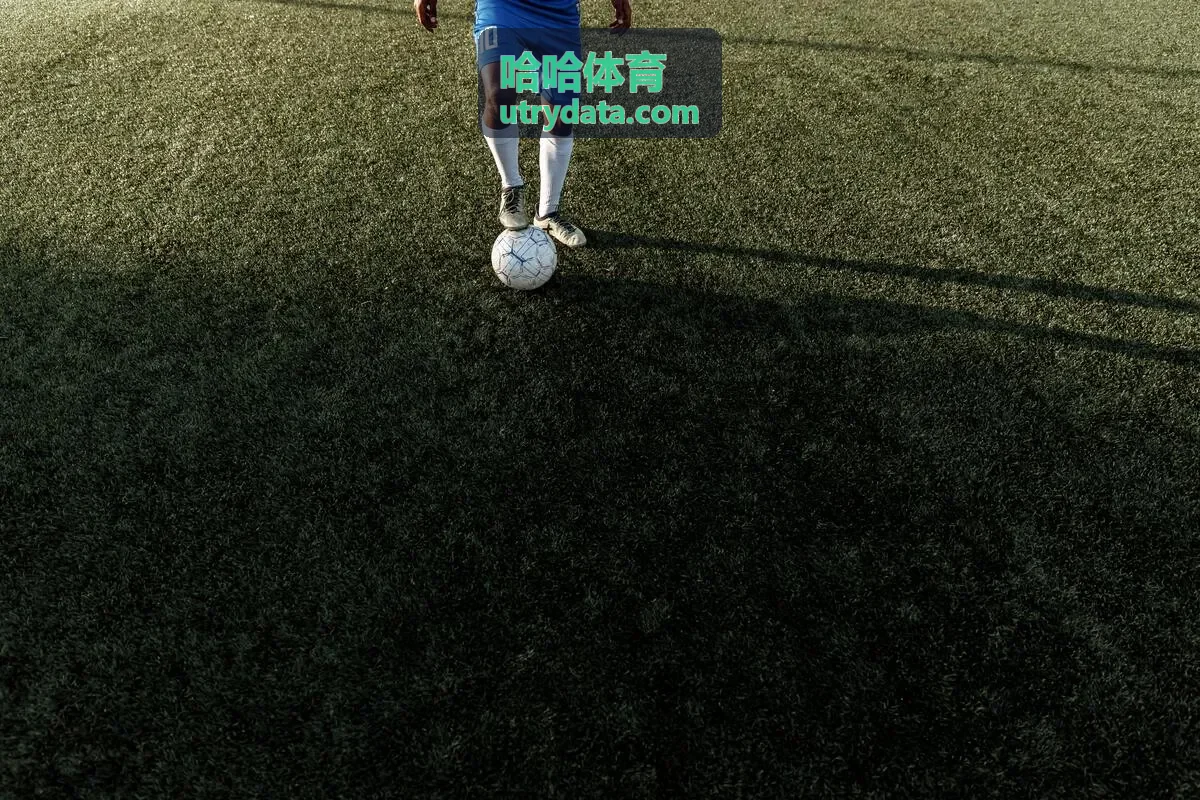 哈哈体育城市马拉松数据服务